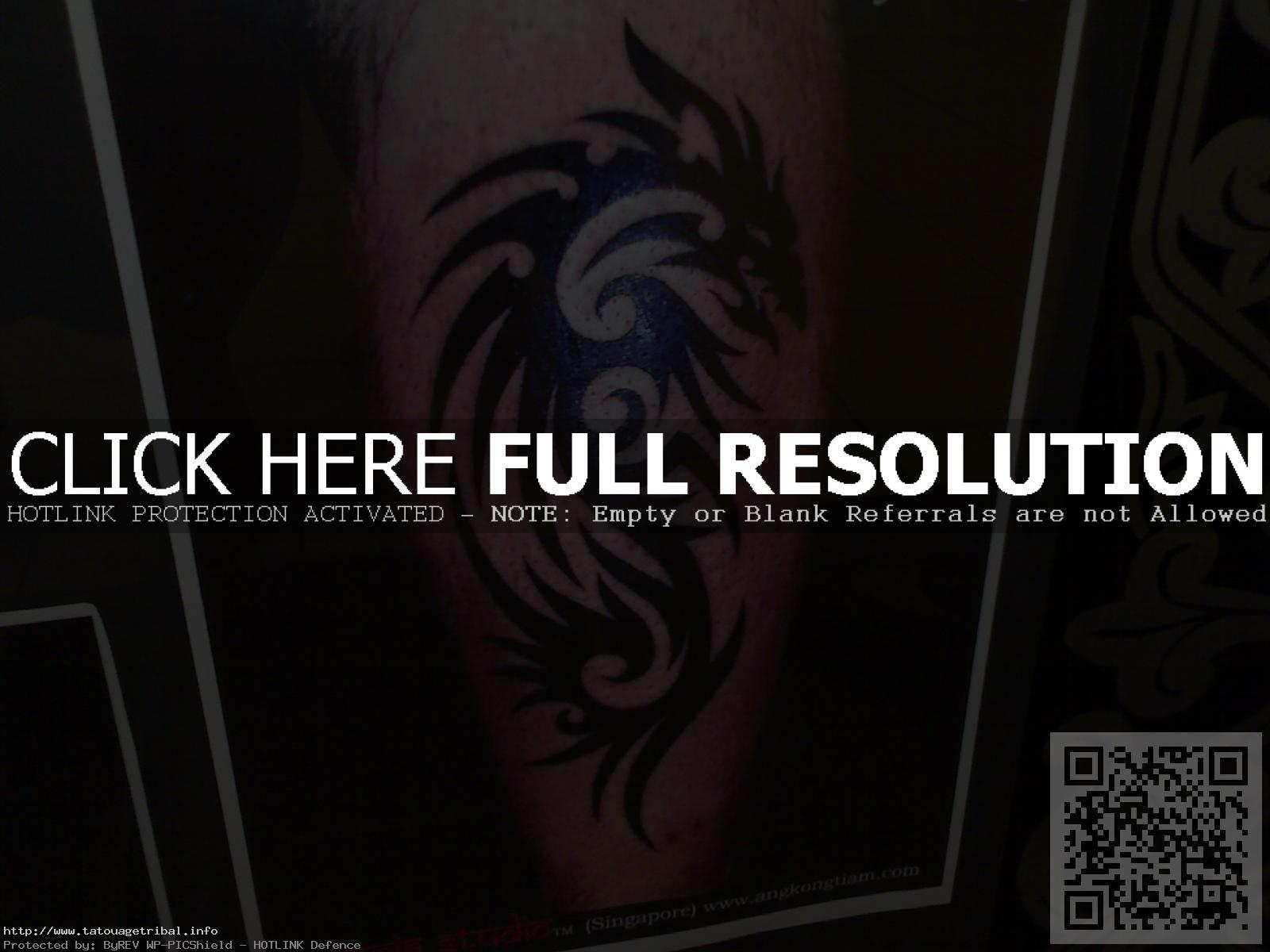 tatouage mollet tribal dragon