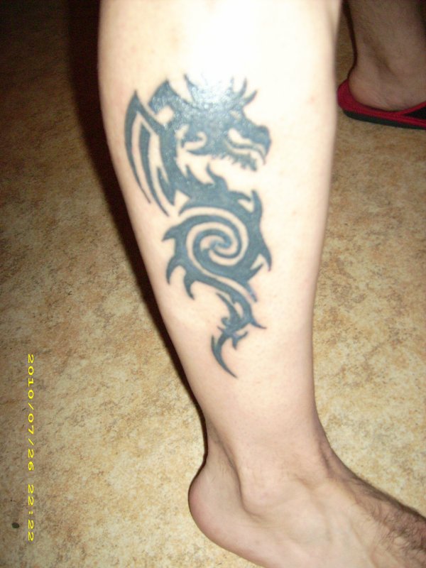 tatouage mollet tribal dragon