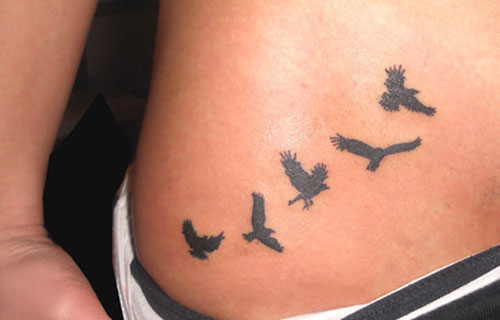 tatouage oiseau aisne