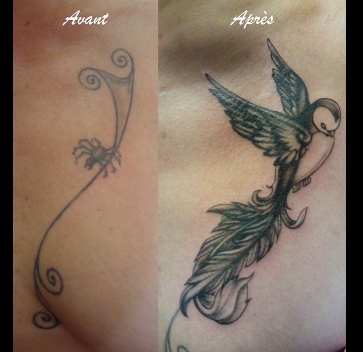 tatouage oiseau arabesque
