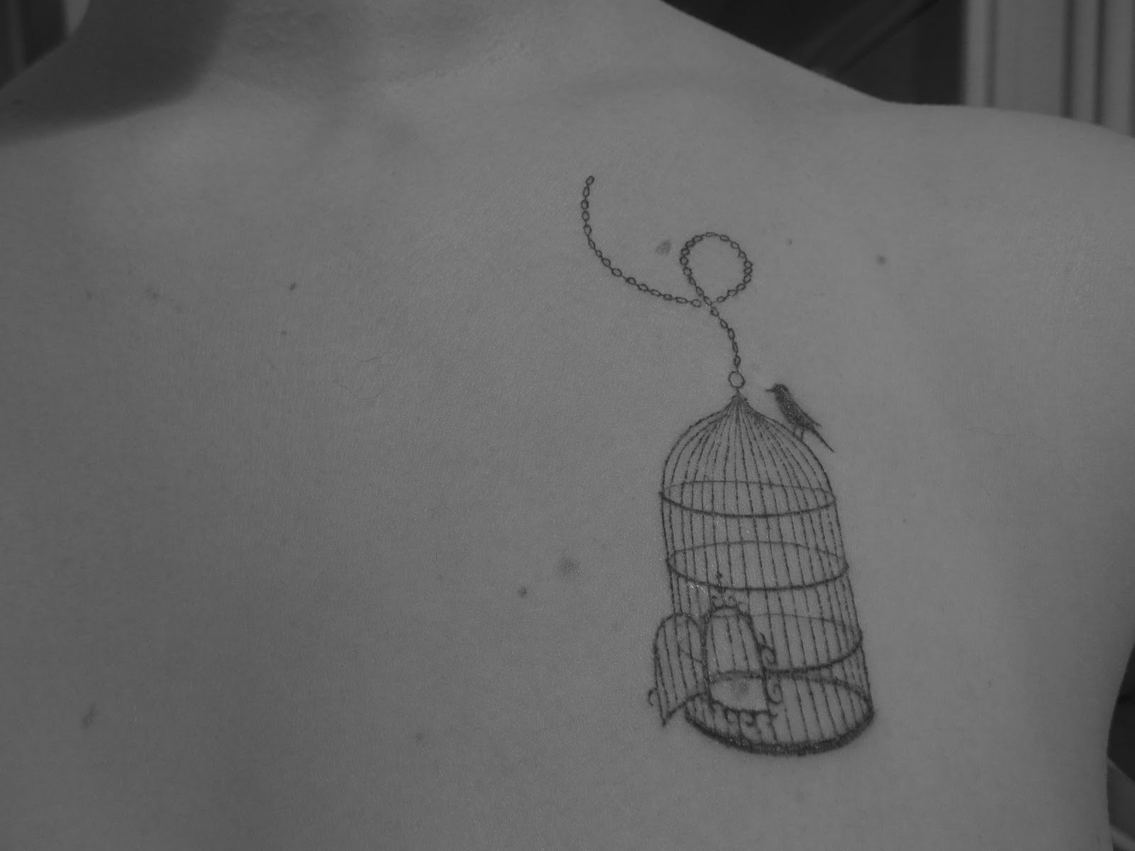 tatouage oiseau en cage