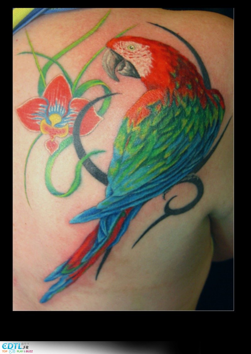 tatouage oiseau en couleur
