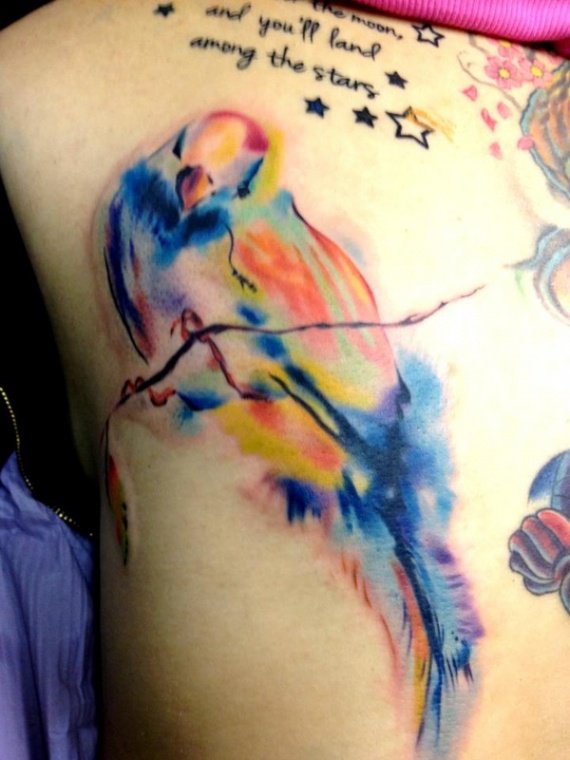 tatouage oiseau en couleur