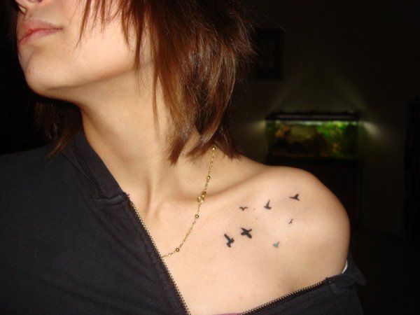 tatouage oiseau fin