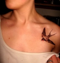 Tatouage oiseau poitrine