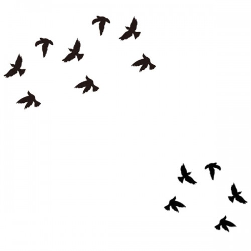 tatouage oiseau temporaire