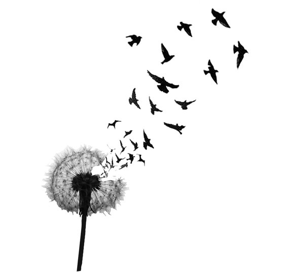 tatouage oiseau temporaire