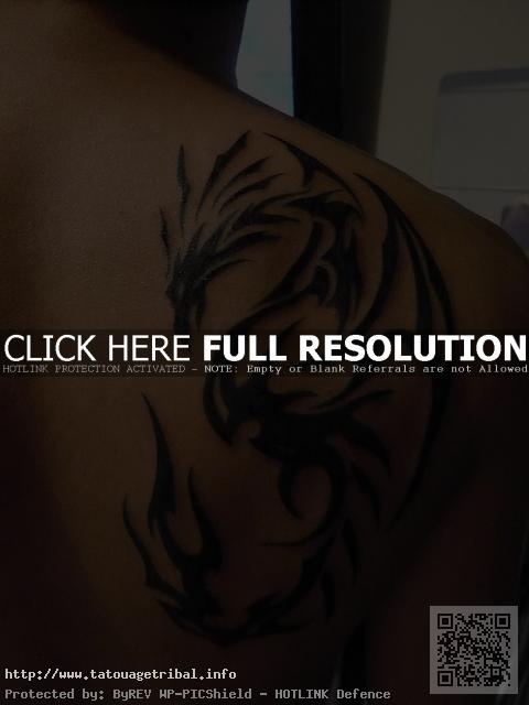 tatouage omoplate dragon