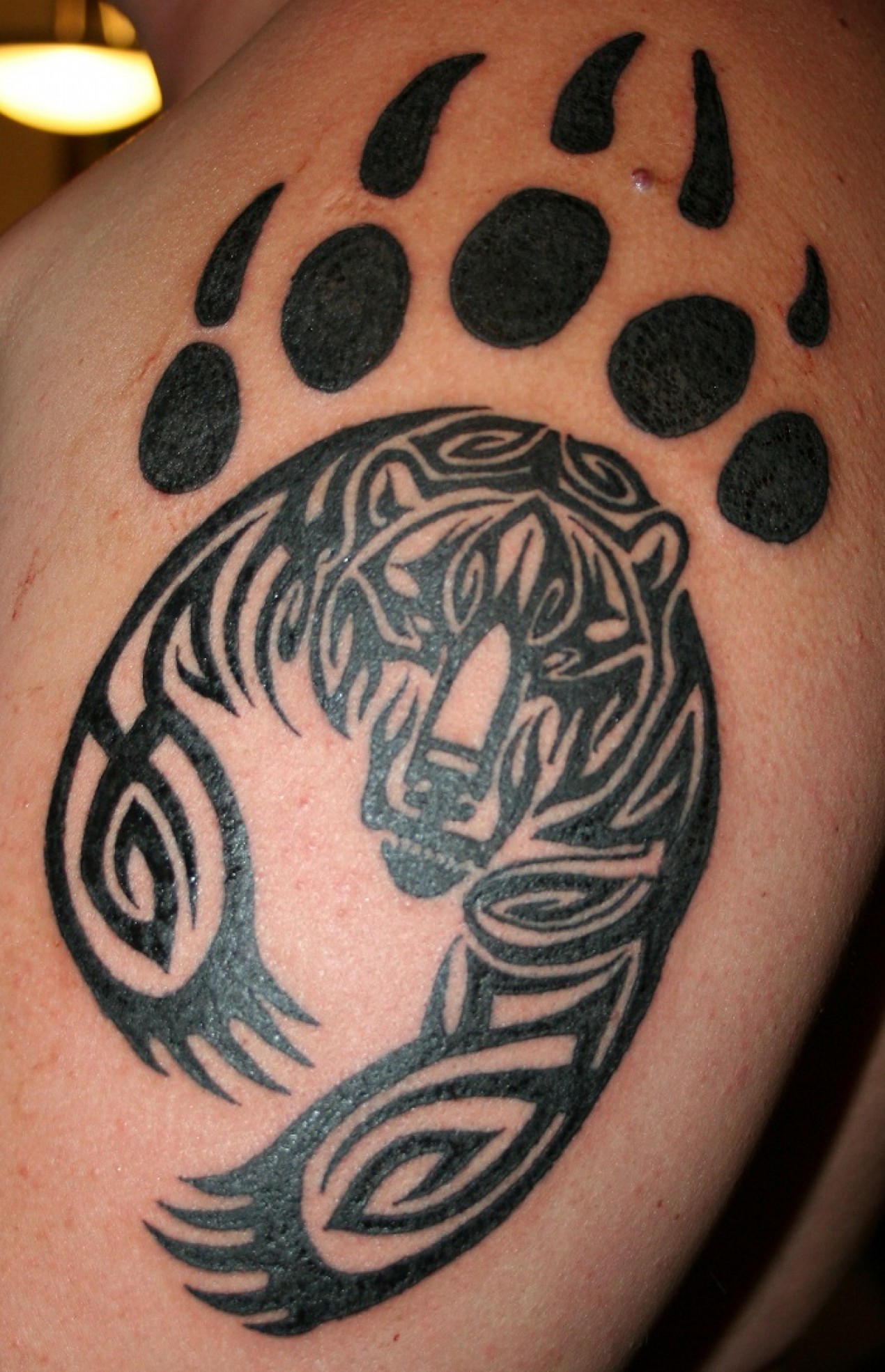tatouage ours celtique