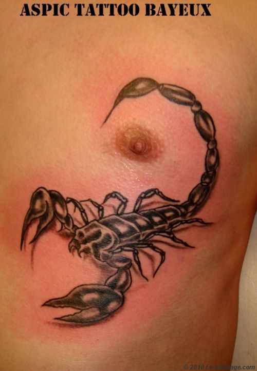 Tatouage pectoraux scorpion