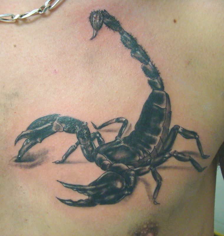 tatouage pectoraux scorpion