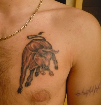tatouage pectoraux taureau