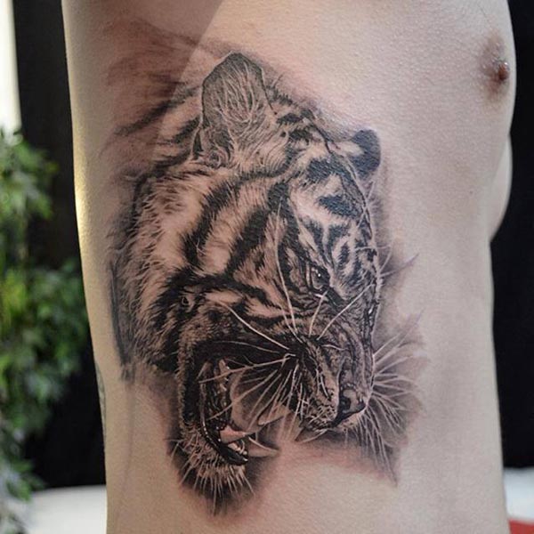 tatouage pectoraux tigre