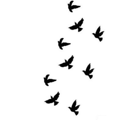 tatouage petit oiseau noir