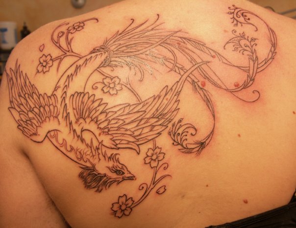 tatouage phoenix pectoraux