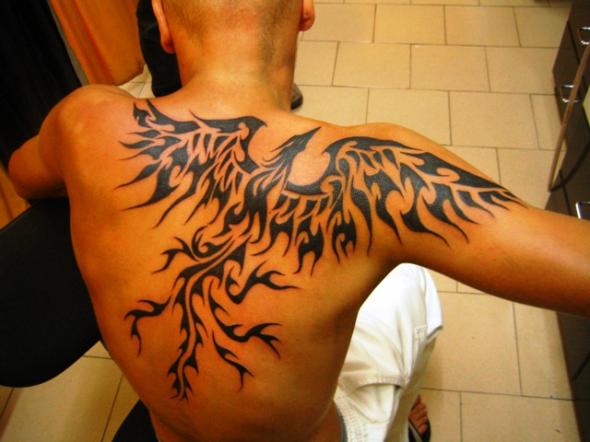 Tatouage phoenix tribal dos homme