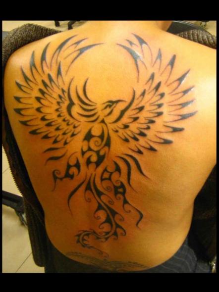 tatouage phoenix tribal dos homme