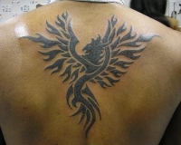 tatouage phoenix tribal dos homme