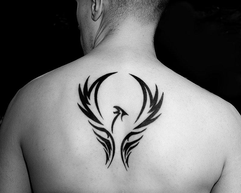 tatouage phoenix tribal dos homme