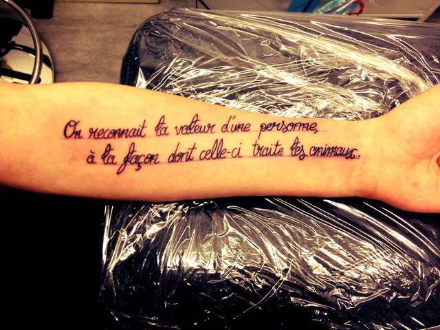 tatouage phrase animaux