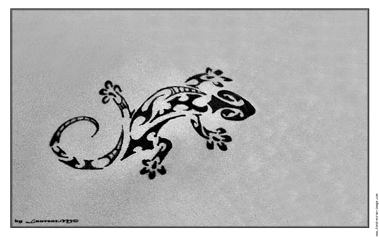 tatouage salamandre celtique