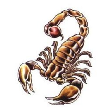 tatouage scorpion celtique