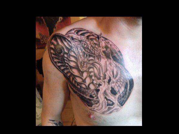 tatouage serpent pectoraux