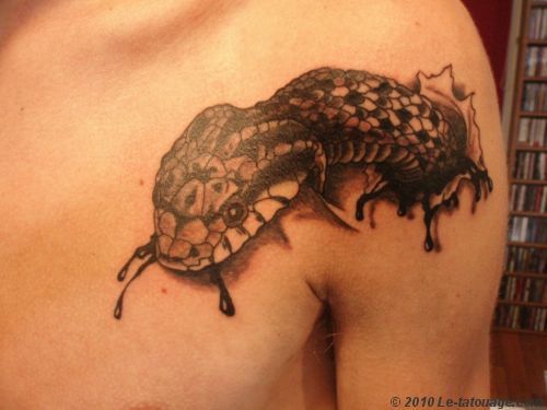 tatouage serpent pectoraux