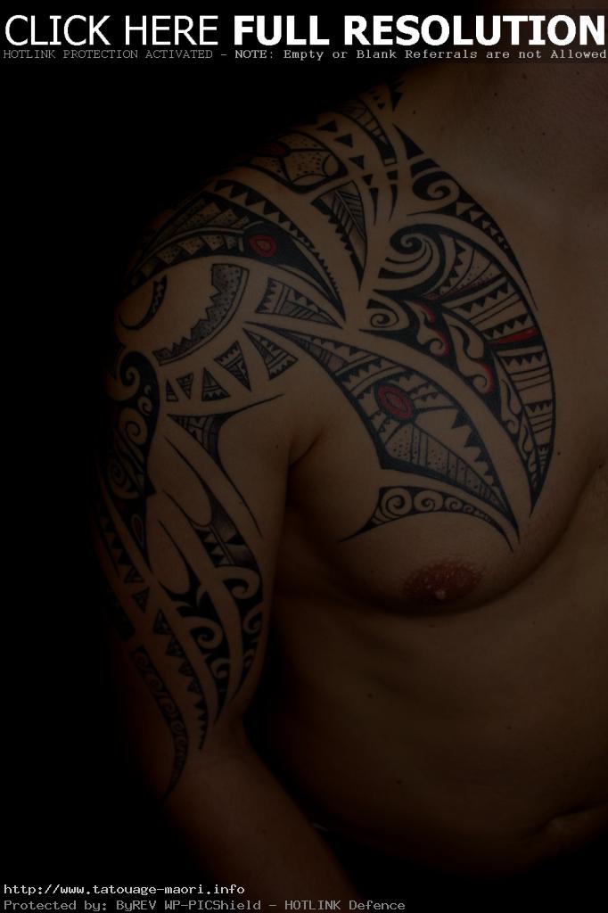 tatouage tribal maorie