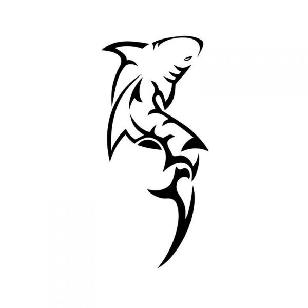 tatouage tribal requin