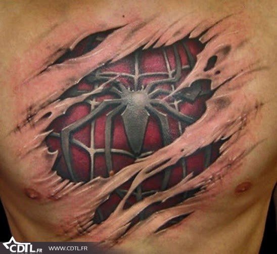 tatouage ventre chat
