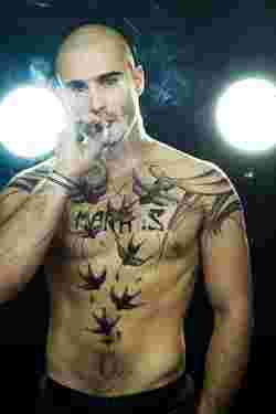 tattoo hirondelle torse