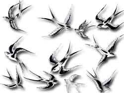 tattoo hirondelle tribal