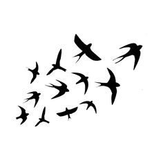 tattoo hirondelle tribal