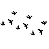 tattoo temporaire oiseau